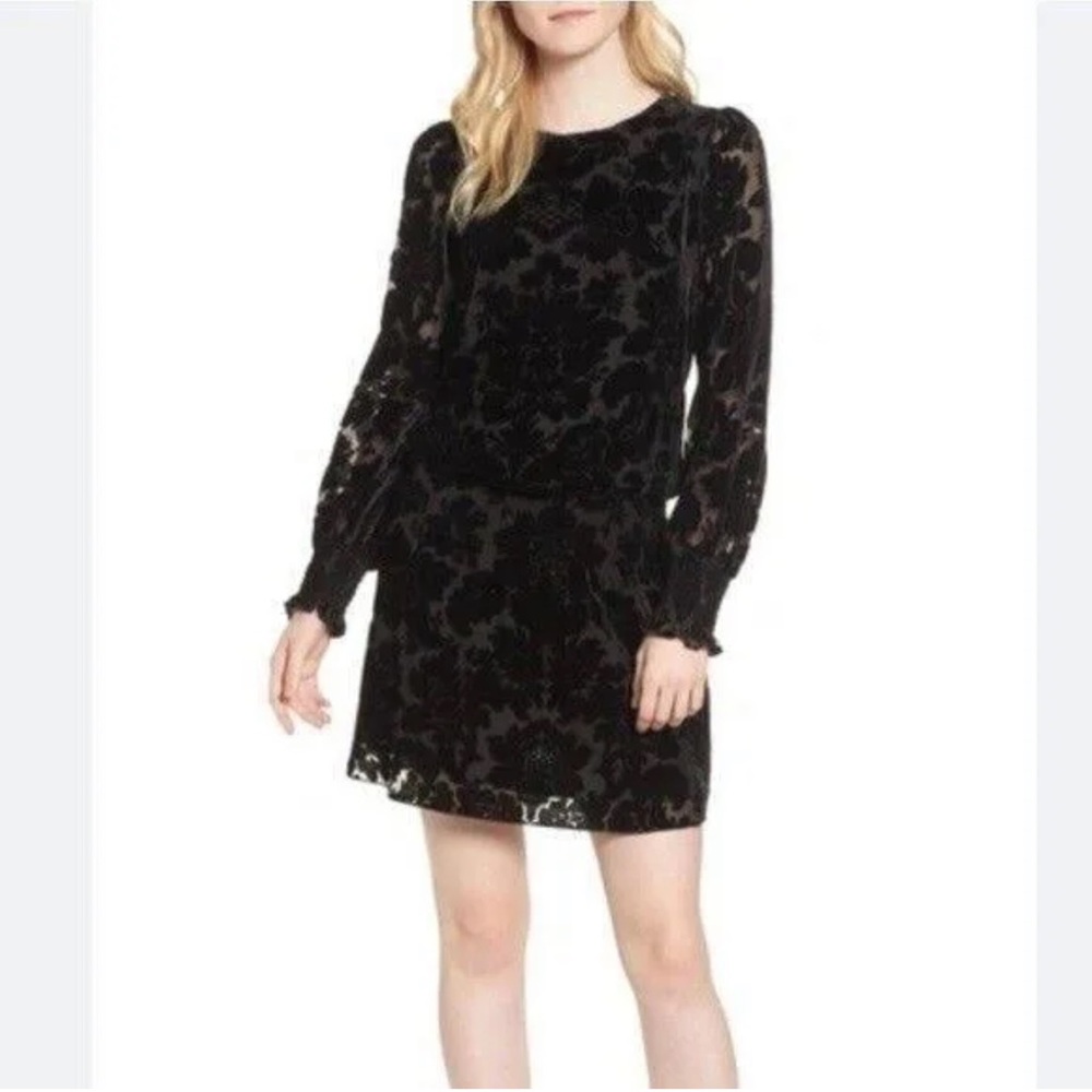 Parker • Carmindy Burnout Black floral Velvet Dress